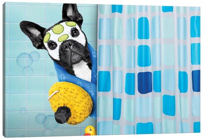 Dog In Shower IV Canvas Art Print