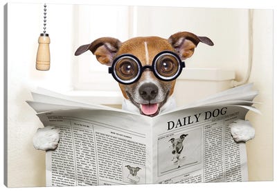 Dog On Toilet Seat Reading Newspaper IV Canvas Art Print - Animal & Pet Photography