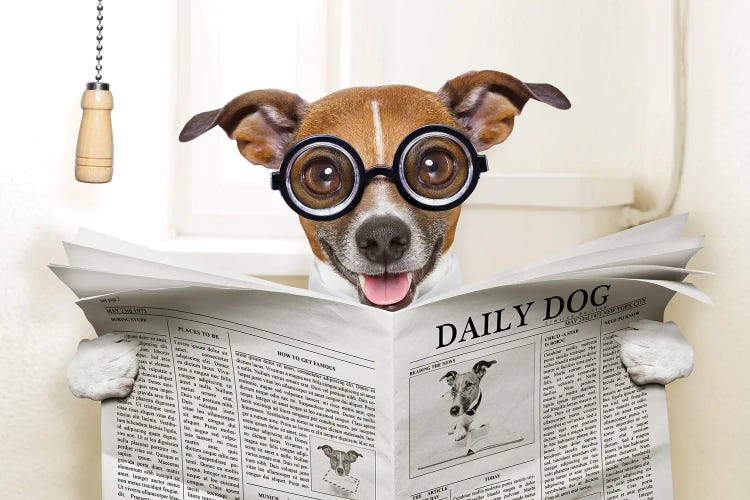 Dog On Toilet Seat Reading Newspaper IV