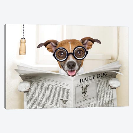 Dog On Toilet Seat Reading Newspaper IV Canvas Print #DPT45} by damedeeso Art Print