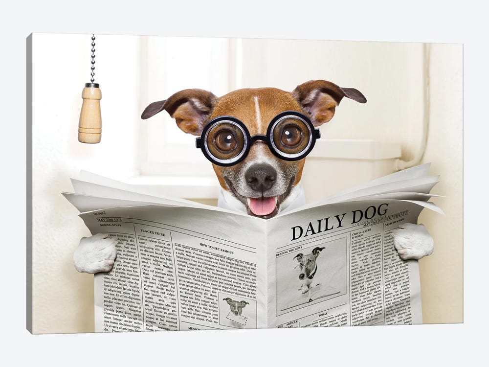 Dog On Toilet Seat Reading Newspaper IV by damedeeso 1-piece Canvas Artwork