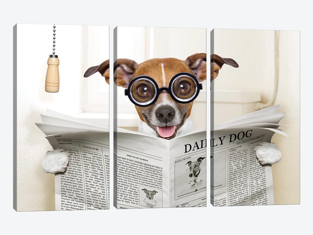 Dog On Toilet Seat Reading Newspaper IV by damedeeso 3-piece Canvas Wall Art