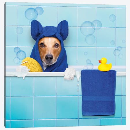 Dog In Shower V Canvas Print #DPT460} by damedeeso Canvas Art Print