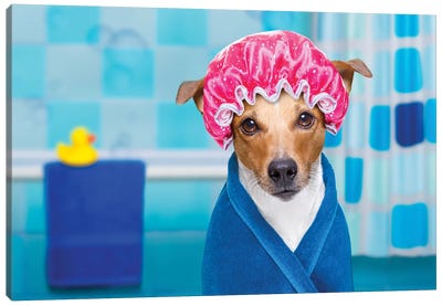 Dog In Shower  Or Wellness Spa Canvas Art Print - Animal Collection