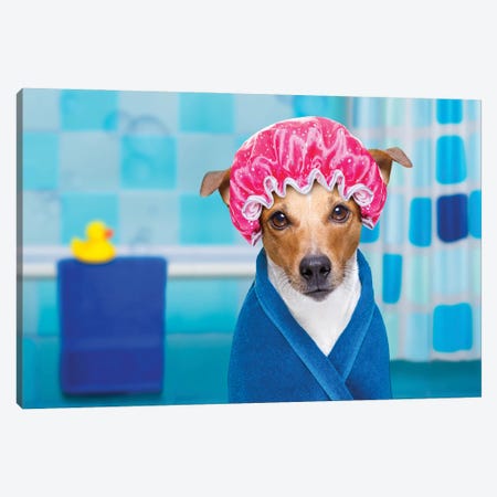Dog In Shower  Or Wellness Spa Canvas Print #DPT461} by damedeeso Art Print