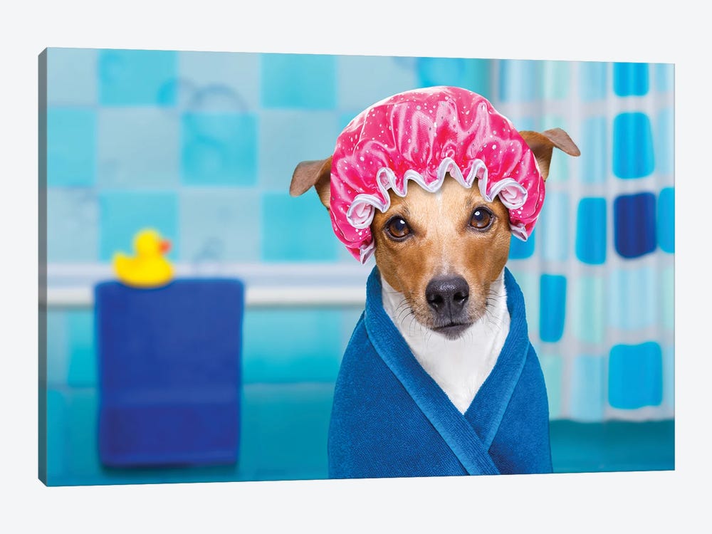 Dog In Shower  Or Wellness Spa by damedeeso 1-piece Art Print