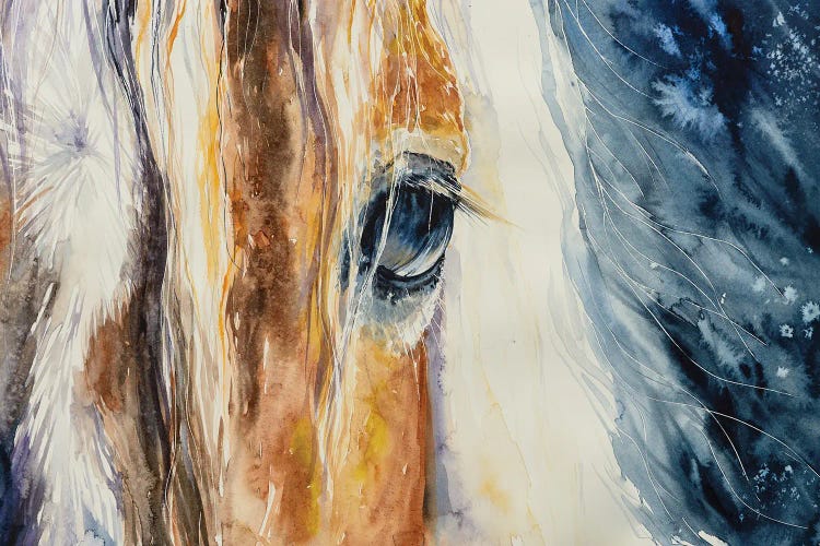 Close-Up Of A Beautiful Horses Eye by DeepGreen wall art