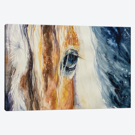 Close-Up Of A Beautiful Horses Eye Canvas Print #DPT469} by DeepGreen Canvas Art Print
