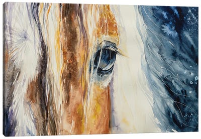 Close Up Of A Beautiful Horses Eye. Picture Created With Watercolors. Canvas Art Print