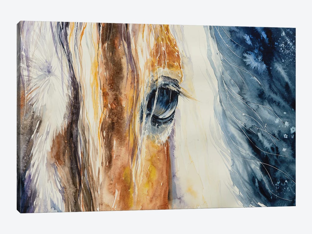 Close-Up Of A Beautiful Horses Eye by DeepGreen 1-piece Canvas Art Print