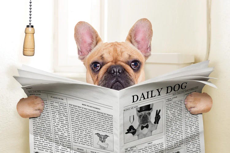 Dog On Toilet Seat Reading Newspaper V