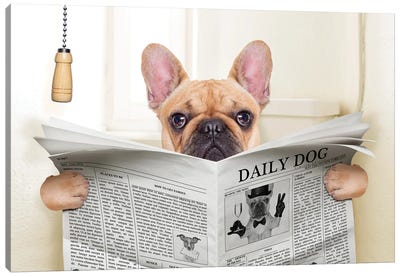Dog On Toilet Seat Reading Newspaper V Canvas Art Print - Animal Collection