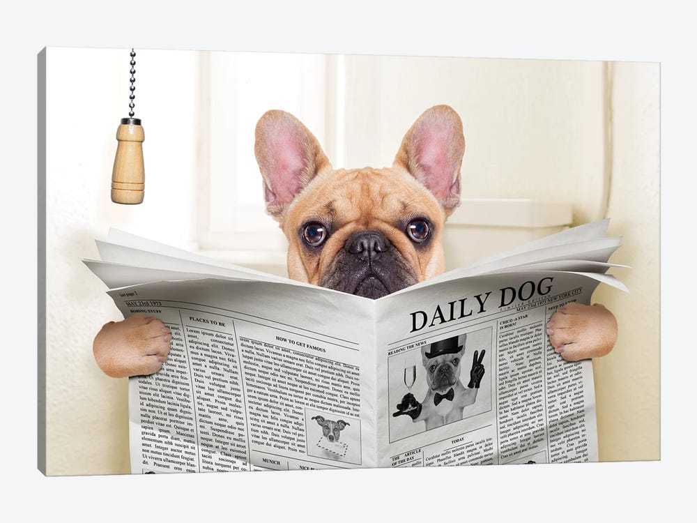 Dog On Toilet Seat Reading Newspaper V by damedeeso 1-piece Art Print