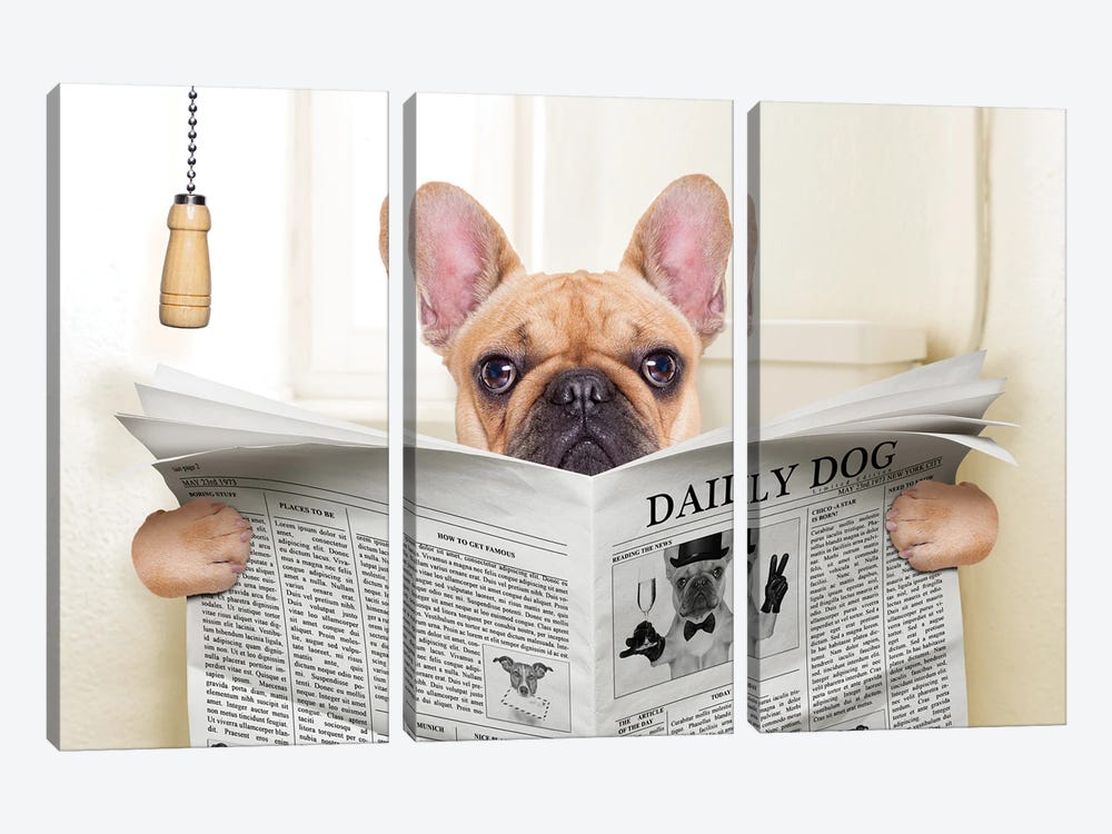 Dog On Toilet Seat Reading Newspaper V by damedeeso 3-piece Art Print