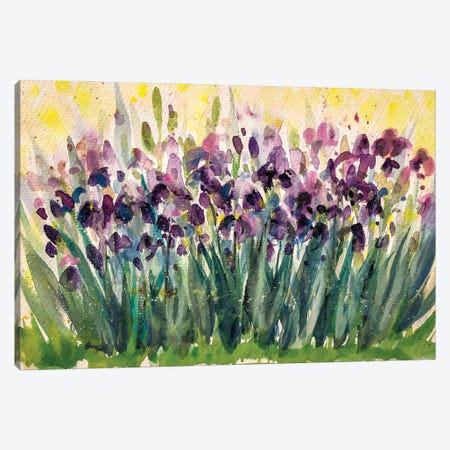 Irises Canvas Print #DPT472} by DeepGreen Canvas Wall Art
