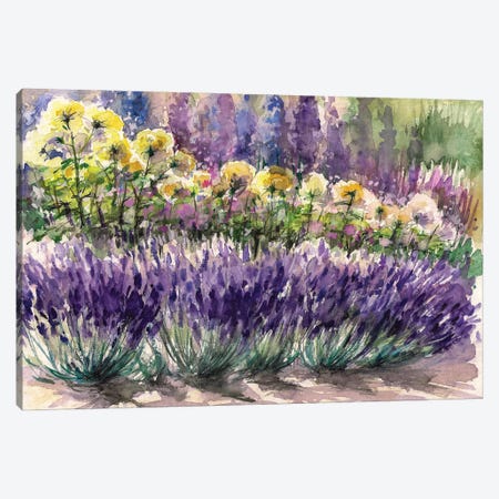 Lavender Canvas Print #DPT474} by DeepGreen Canvas Art Print