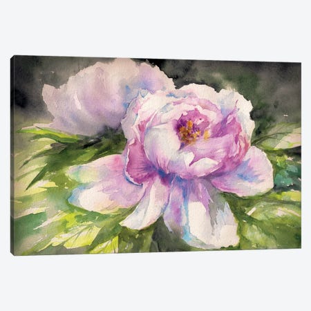 Pink Peony Watercolors Canvas Print #DPT477} by DeepGreen Canvas Art Print