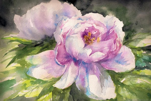 Peonies: Pink Peony Watercolors by DeepGreen