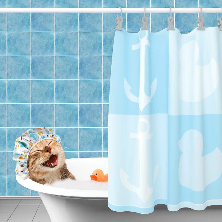 Funny Cat Is Taking A Bath With Toy Duck by funny cats wall art