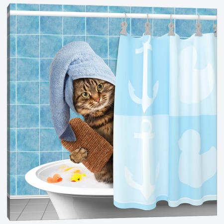Funny Cat Taking A Bath I Canvas Print #DPT505} by funny_cats Canvas Print