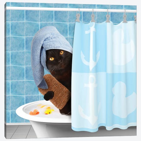 Funny Cat Taking A Bath II Canvas Print #DPT506} by funny_cats Art Print