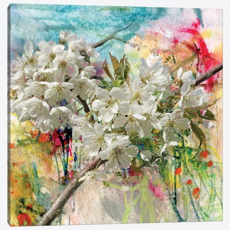 Blooming Apple Tree, Painting And Combined Technique Canvas Print #DPT514} by kvocek Canvas Art