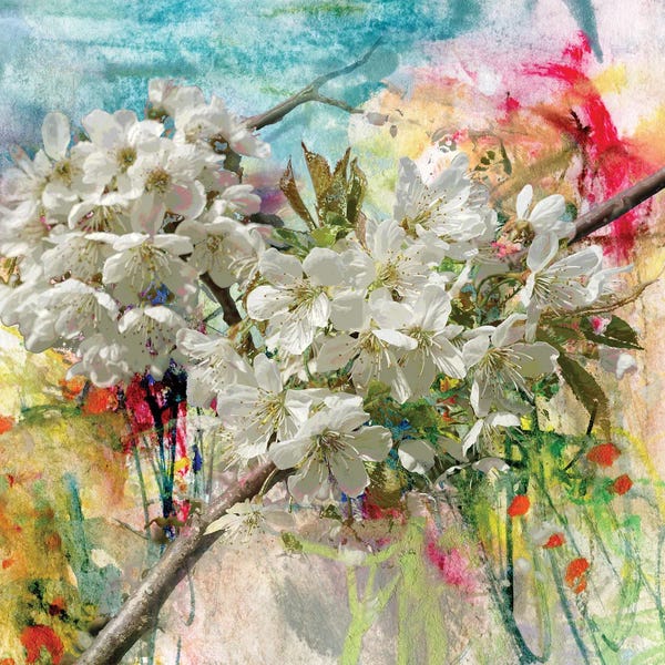 Apple Trees: Blooming Apple Tree, Painting And Combined Technique by kvocek