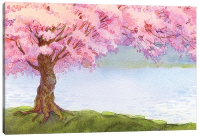 Flowering Pink Tree By The Lake Canvas Art Print
