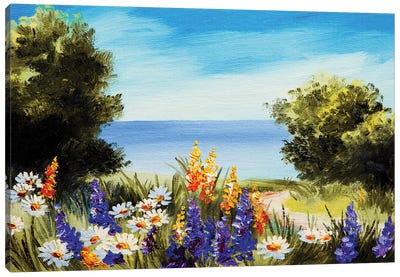 Camomile Field  Of Flowers Near The Sea Canvas Art Print