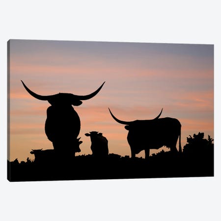 Longhorn Overlook Canvas Print #DPT545} by Neonwater Canvas Print