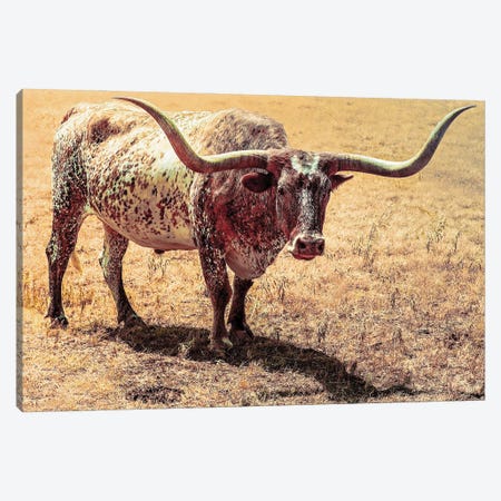 Longhorned Summer Canvas Print #DPT559} by thomasmales Canvas Print