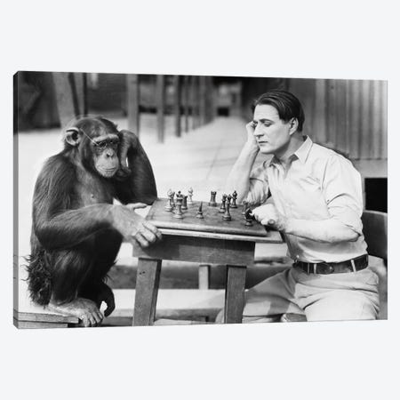 Man Playing Chess With Monkey Canvas Print #DPT57} by everett225 Canvas Wall Art