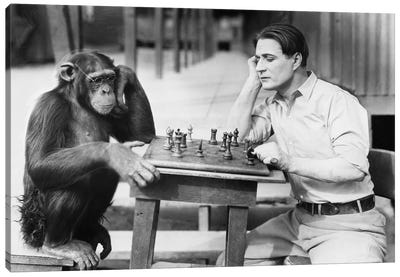 Man Playing Chess With Monkey Canvas Art Print - Chimpanzees