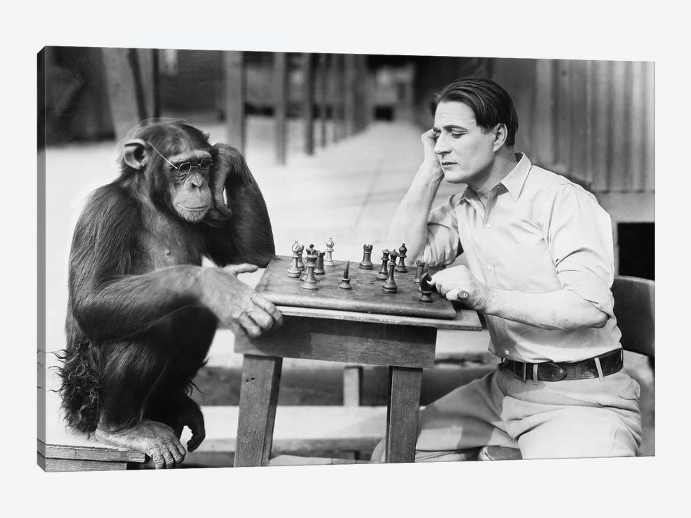 Man Playing Chess With Monkey 1-piece Art Print