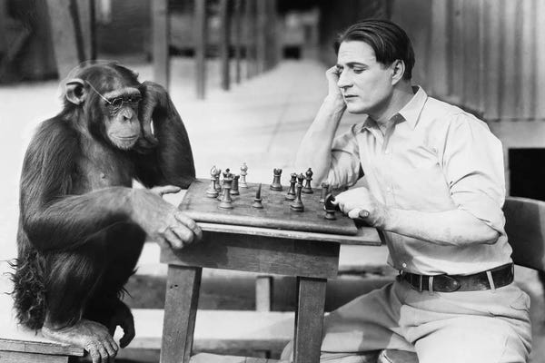 DepositPhotos: Man Playing Chess With Monkey by everett225