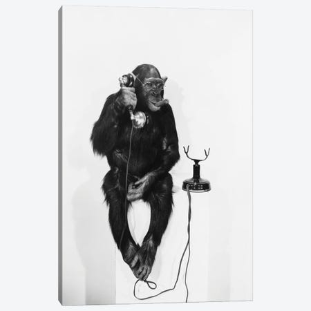Monkey On The Phone Canvas Print #DPT58} by everett225 Canvas Art Print