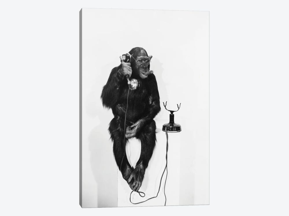 Monkey On The Phone 1-piece Canvas Art