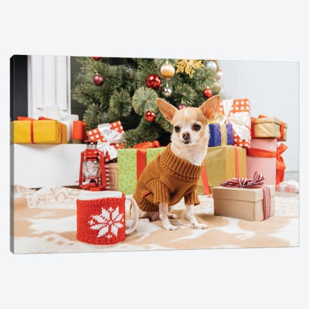 Adorable Chihuahua Dog In Sweater Sitting Near Christmas Presents And Cup Of Hot Drink On Floor Canvas Print #DPT598} by MicEnin Canvas Art Print