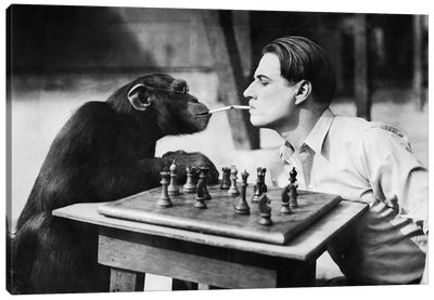 Young Man And A Chimpanzee Smoking Cigarettes And Playing Chess Canvas Art Print - Smoking Art