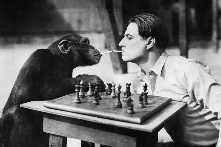 Young Man And A Chimpanzee Smoking Cigarettes And Playing Chess