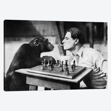 Young Man And A Chimpanzee Smoking Cigarettes And Playing Chess Canvas Print #DPT59} by everett225 Canvas Print