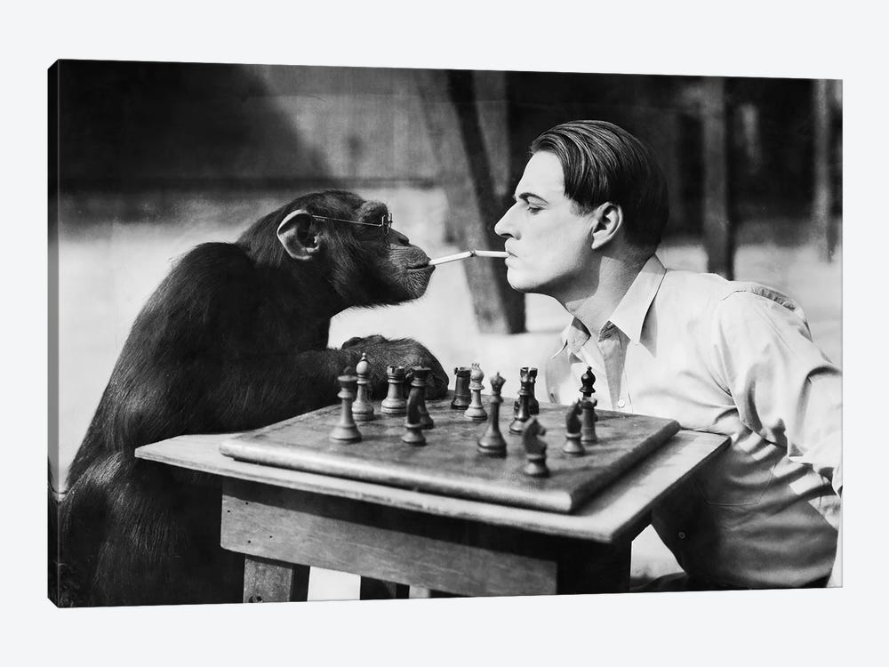 Young Man And A Chimpanzee Smoking Cigarettes And Playing Chess by everett225 1-piece Canvas Print