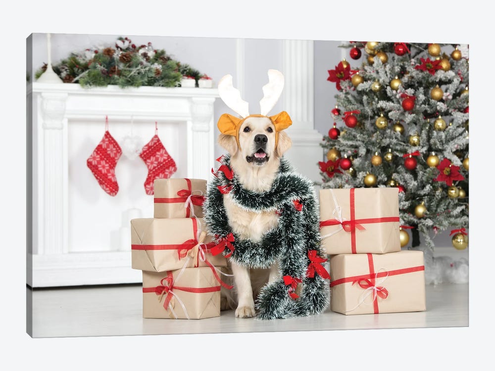 Golden Retriever Dog Posing Indoors With Christmas Decorations 1-piece Canvas Wall Art