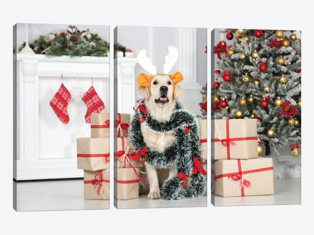 Golden Retriever Dog Posing Indoors With Christmas Decorations by ots-photo 3-piece Canvas Art