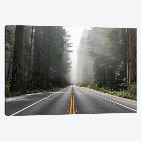 Scenic Route In The Redwood National Forest In California, Usa Canvas Print #DPT604} by Rawpixel Canvas Wall Art