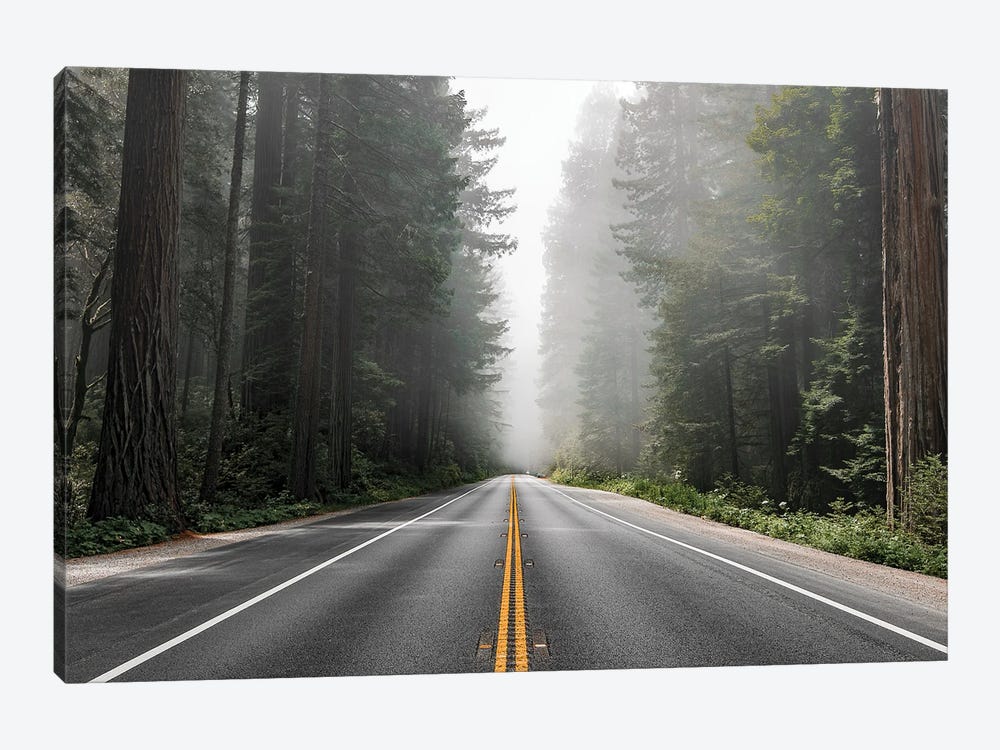 Scenic Route In The Redwood National Forest In California, Usa by Rawpixel 1-piece Art Print