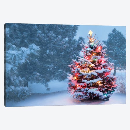 This Tree Glows Brightly On Snow Covered Foggy Christmas Morning Canvas Print #DPT607} by rcreitmeyer Canvas Artwork