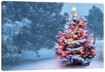 This Tree Glows Brightly On Snow Covered Foggy Christmas Morning Canvas Art Print