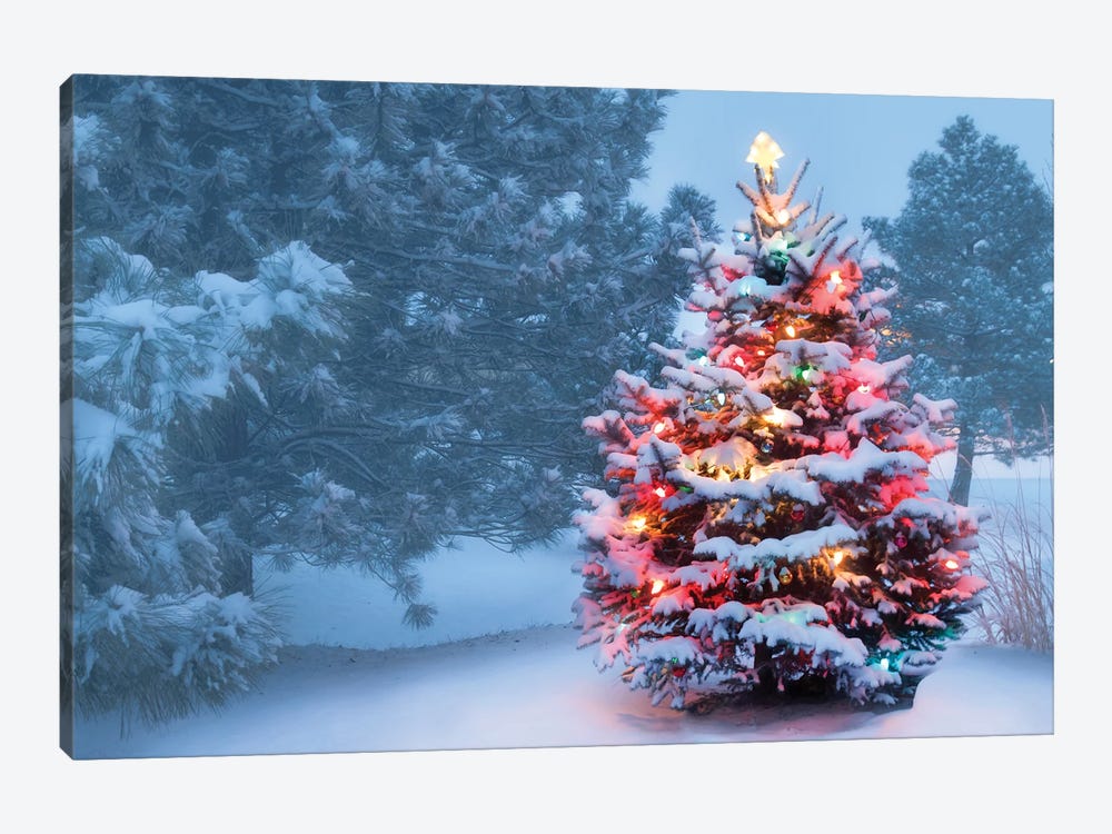 This Tree Glows Brightly On Snow Covered Foggy Christmas Morning by rcreitmeyer 1-piece Canvas Art