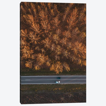 Traffic On The Road Through Autumnal Aspen Tree Forest Canvas Print #DPT611} by stevanovicigor Canvas Art